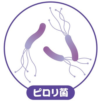 胃がんの最大の原因はピロリ菌感染